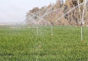 34 پروژه عمرانی تولیدی کشاورزی در شهرستان قزوین افتتاح می شود