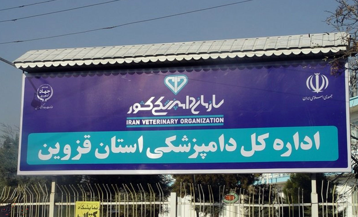 آمادگی کارشناسان دامپزشکی قزوین برای تایید سلامت دام‌ها در روز عید قربان