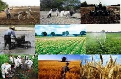 1047 میلیارد ریال تسهیلات به کشاورزان قزوینی پرداخت شد