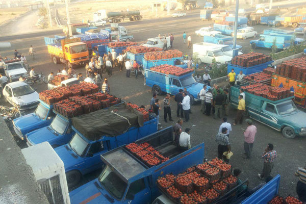 اولین پروانه تاسیس پایانه صادراتی محصولات کشاورزی در استان قزوین صادر شد