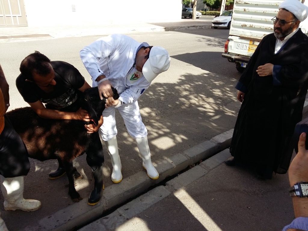 34 اکیپ برای خدمات رسانی دامپزشکی قزوین در روز عید سعید قربان تجهیز شده است
