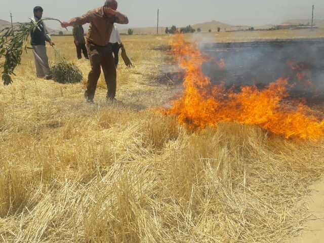 میزان و وسعت آتش سوزی‌های مراتع استان در سال جاری بی سابقه است