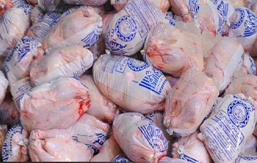 آغاز توزیع مرغ منجمد در استان قزوین