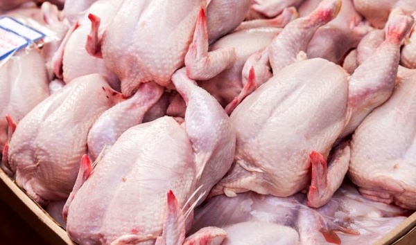 کاهش 20 درصدی قیمت مرغ گرم در قزوین