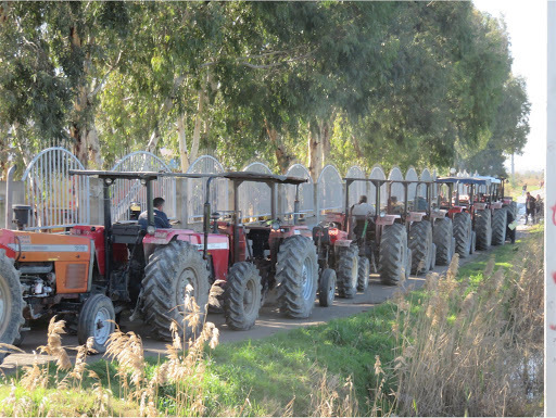 ۱۴۳۸ دستگاه تراکتور در استان قزوین پلاک گذاری شد ۱۴۳۸ دستگاه تراکتور در استان قزوین پلاک گذاری شد