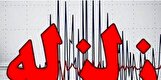 زلزله ۴ ریشتری در جنوب استان بوشهر/تیم های امدادی در آمادگی کامل قرار دارند