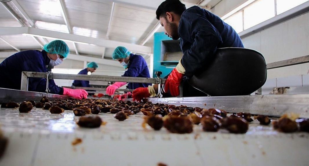 خرما از جنوب، برند از شمالغرب؛ چرا آذربایجانشرقی رتبه اول فرآوری خرما را دارد؟ خرما از جنوب، برند از شمالغرب؛ چرا آذربایجانشرقی رتبه اول فرآوری خرما را دارد؟