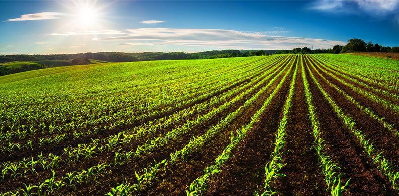 توزیع عادلانه نهاده‌های کشاورزی در هشت شهرستان استان