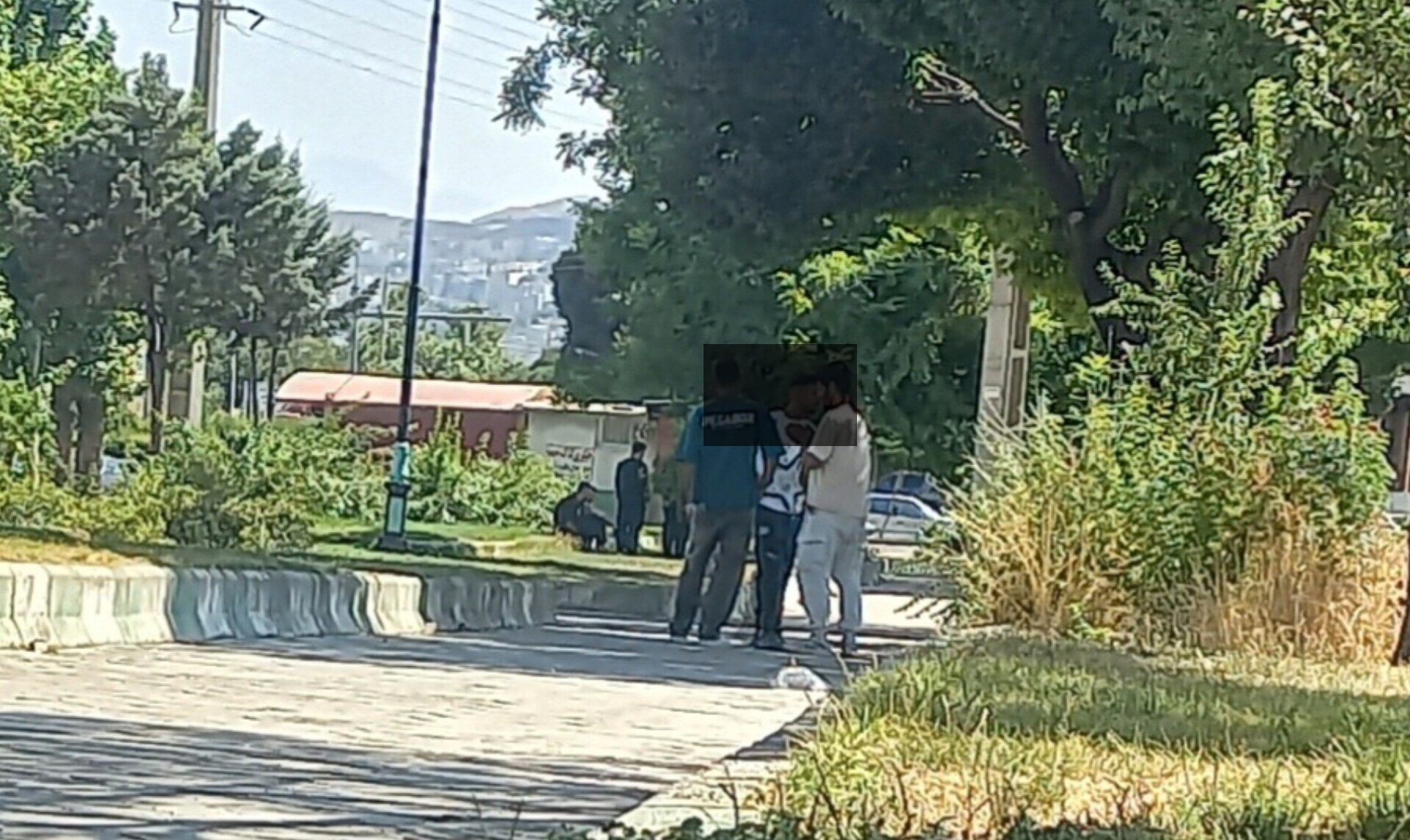 زیر سایه درخت، کنار دود و متلک