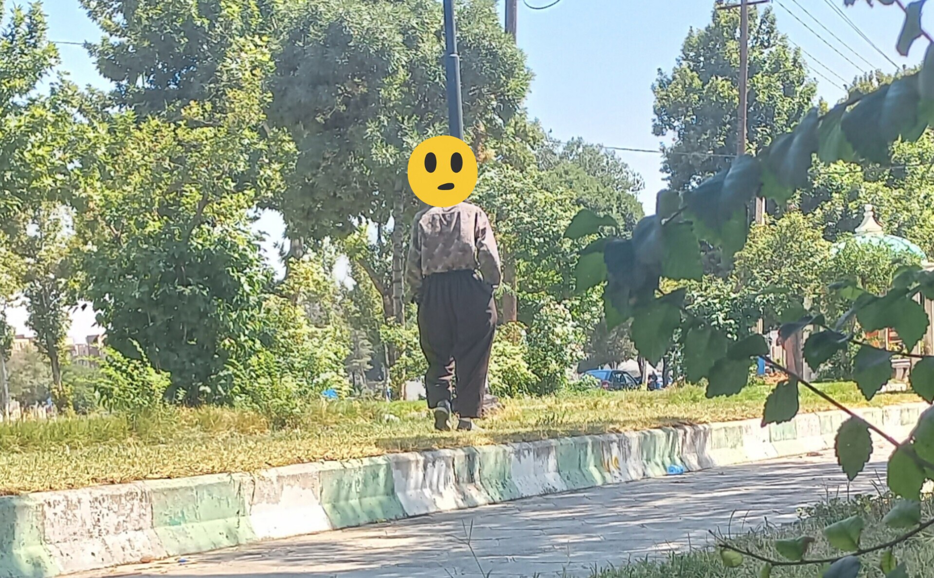 زیر سایه درخت، کنار دود و متلک